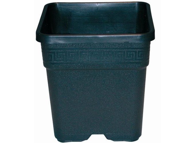 Pot carré noir - 18L - Nuova pasquini e bini spa