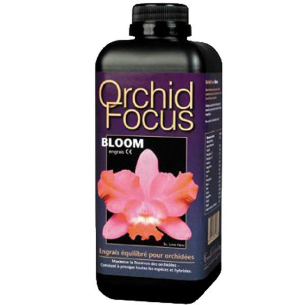Terreau Or Brun pour Orchidées - Croissance et Floraison Optimales (4L)