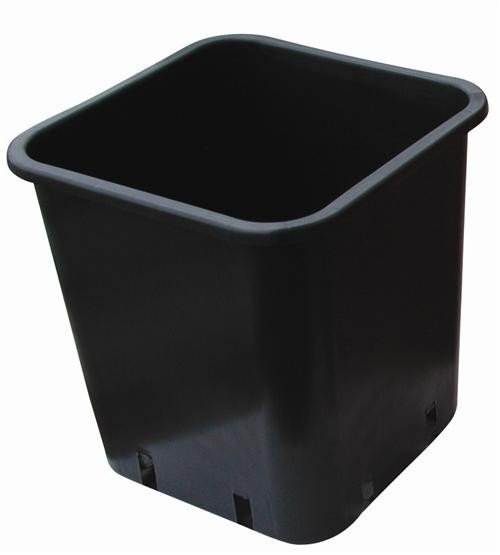 50 macetas cuadradas - 12x12x13 - 1,5L - negro