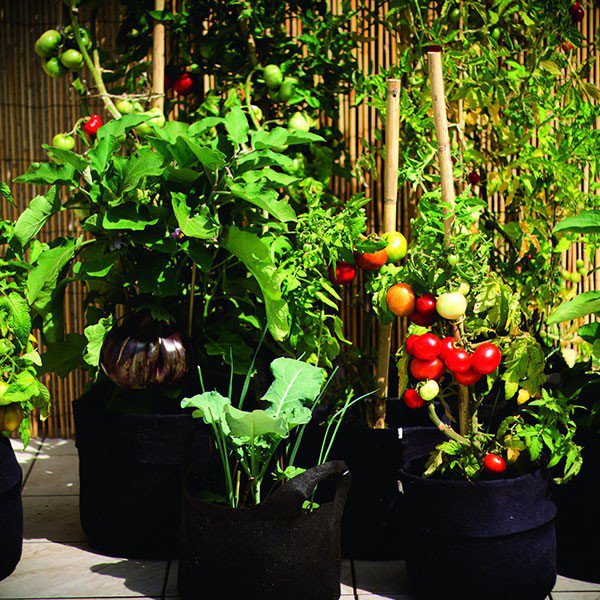 Vaso geotessile - 7L - 2 galloni - Smart Pot Originale