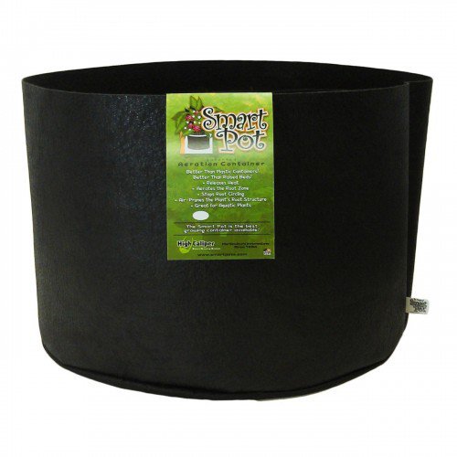 SMART POT ORIGINALE 100 GALLONI 371L