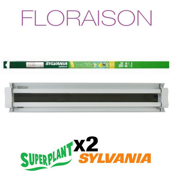 Flowering Kit T5H0 4x24W Grolux Plug and Play - Superplant & Sylvania
