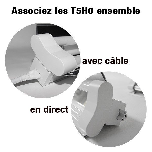 Neonröhre Wachstum T5HO - 2x80W - 6500K - Plug and Play - Superplant & Sylvania