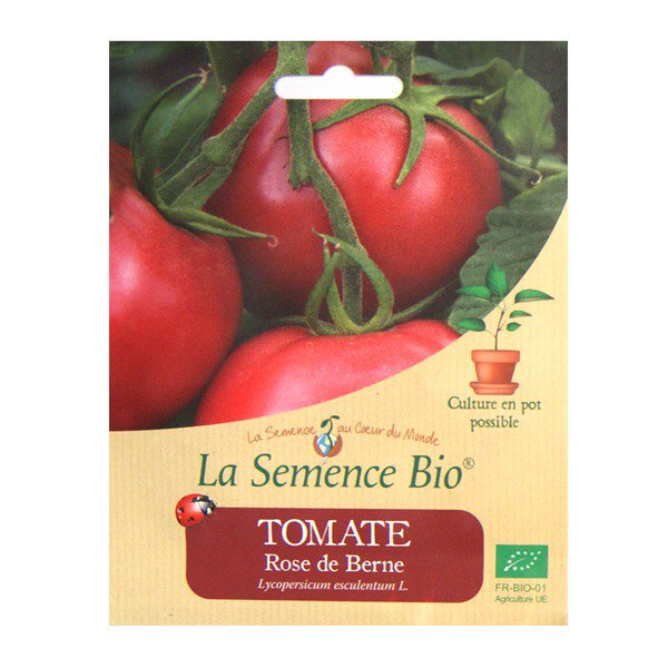 GRAINES BIO - TOMATE ROSE DE BERNE (20GN)