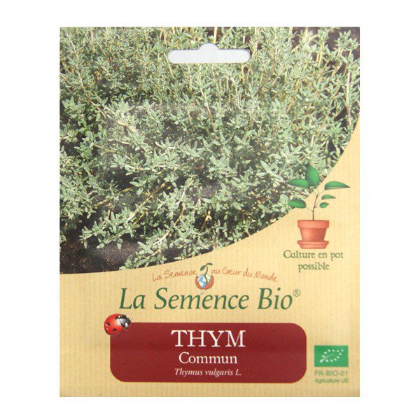 ORGANIC SEEDS - COMMON THYME (350GN)