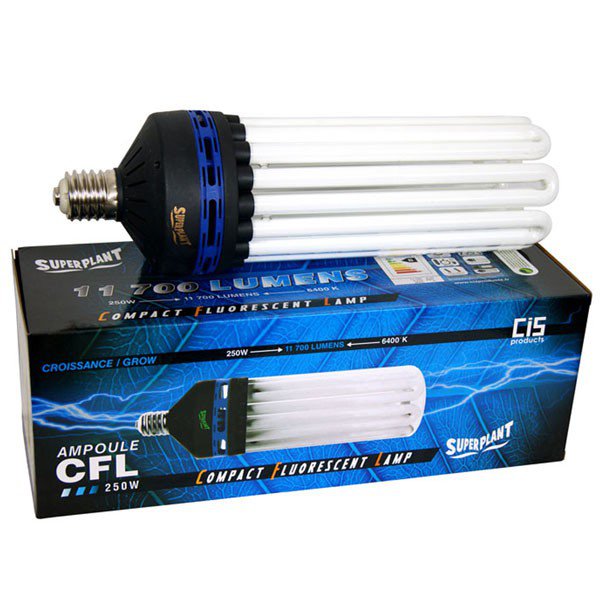 Ampoule CFL Superplant 250W 6400K - Croissance