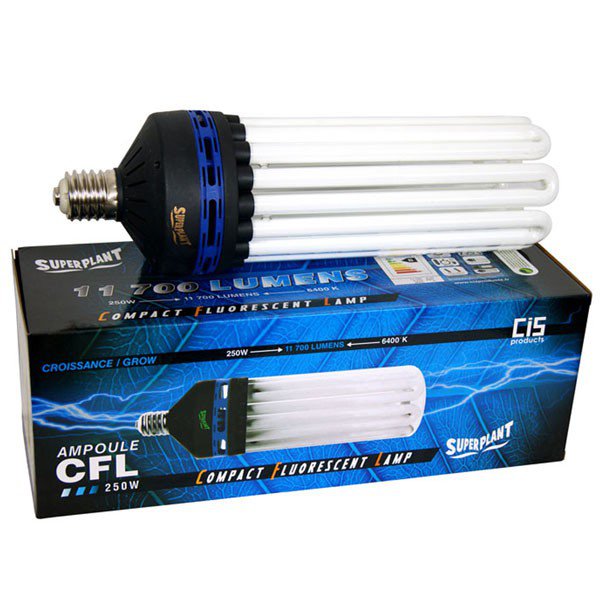 Ampoule CFL Superplant 250W 6400K - Croissance