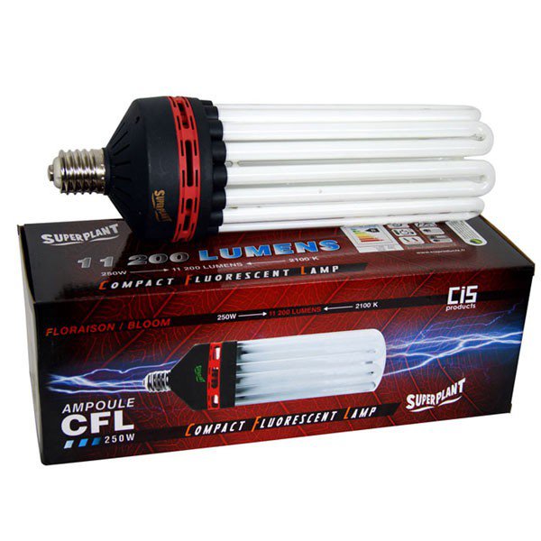 Ampoule CFL Superplant 250W 2100K Floraison