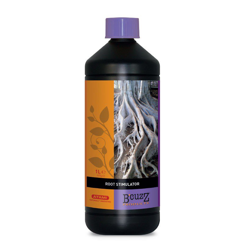 BCUZZ ROOT 1L DE