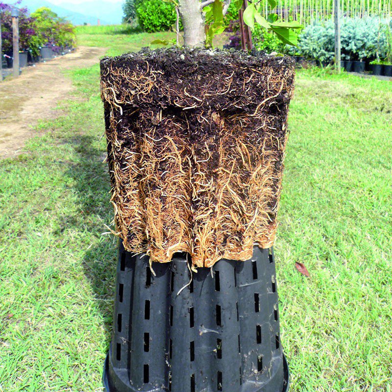Runder Topf Ercole Anti-Spirale - 7,5L - Pasquini & Bini