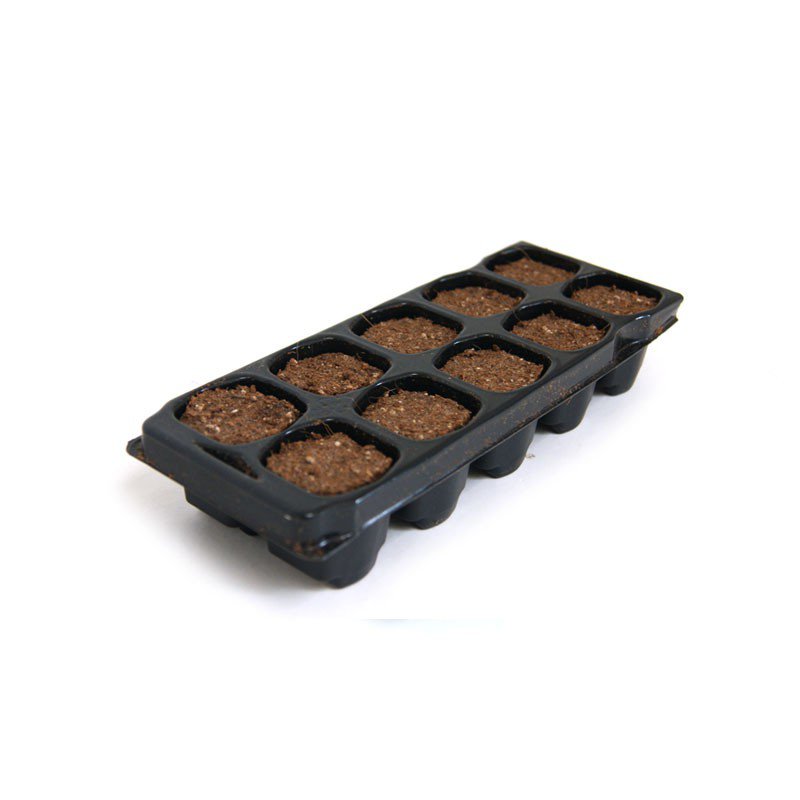 X-Plug Cutting and Seeding Plug - Plate of 10 - Platinium Soil