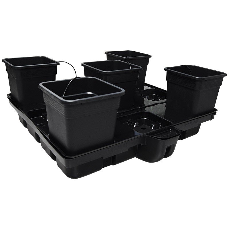 Systeme hydroponique HydroStar 120 - 5 Big Pots 25L - Platinium Hydroponics