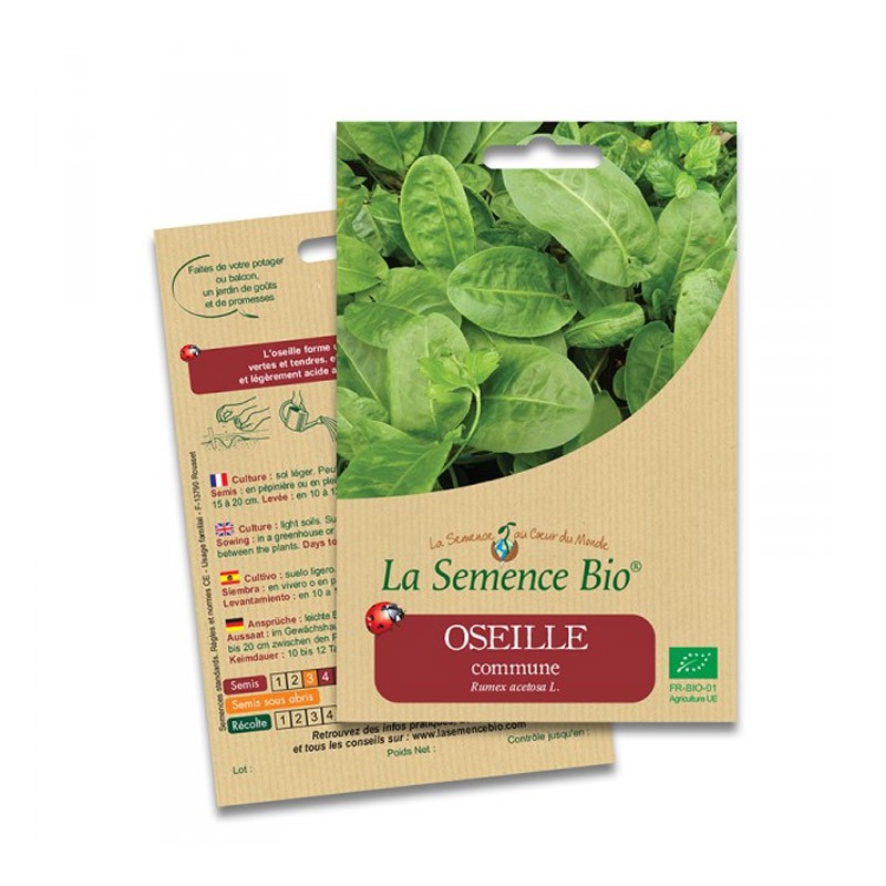 GRAINES BIO - OSEILLE COMMUNE (500GN) - La Semence Bio