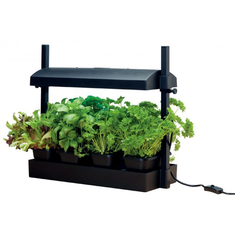 BLACK MICRO GARDEN WITH 11W LAMP