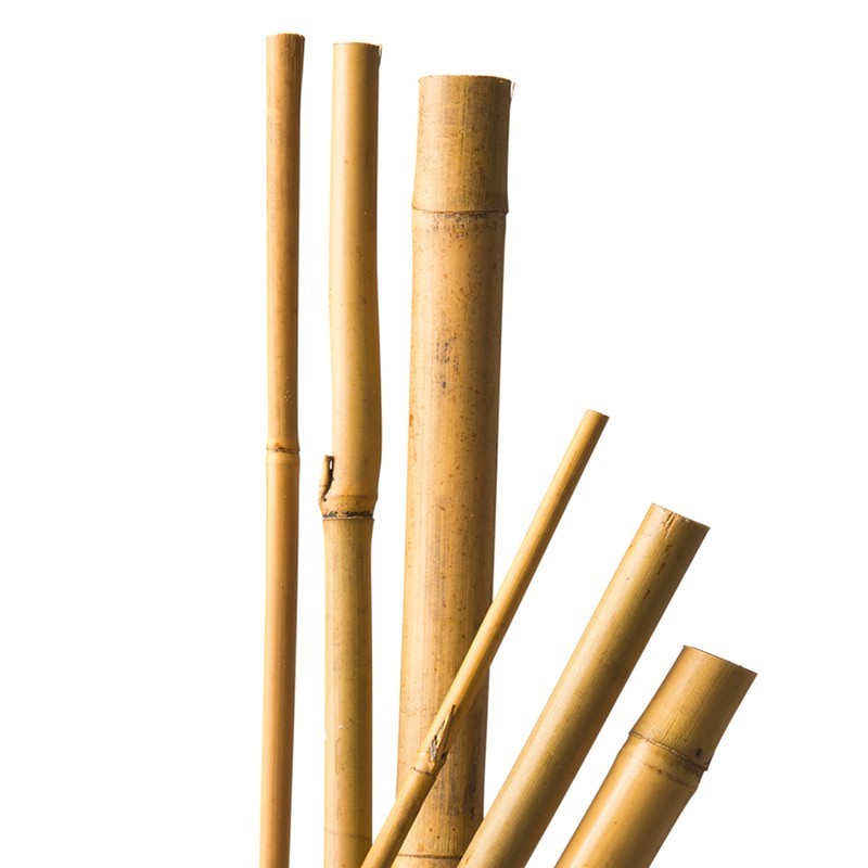 4 NATURAL BAMBOO STAKES - H150 CM X ?12-14 MM