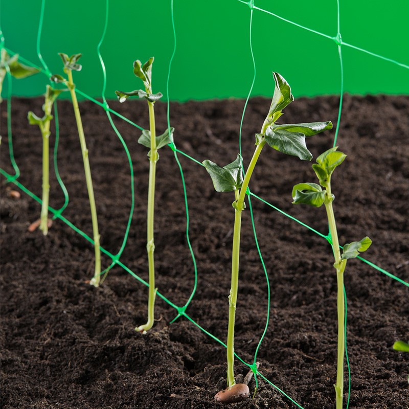 Filet de palissage tuteur - 2x5 m - Vert - Nature