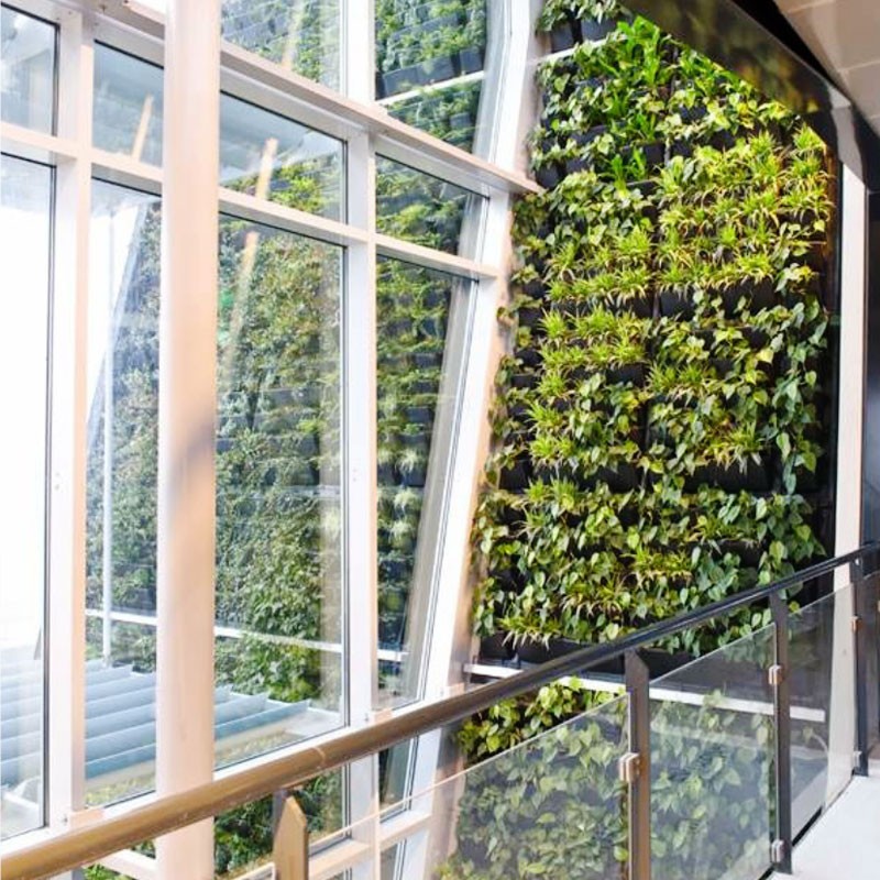 Indoor/outdoor green wall - 30x43 cm - ModuloGreen