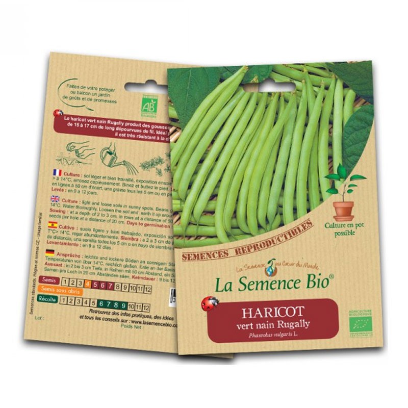 ORGANIC SEEDS - DWARF GREEN BEAN RUGALLY