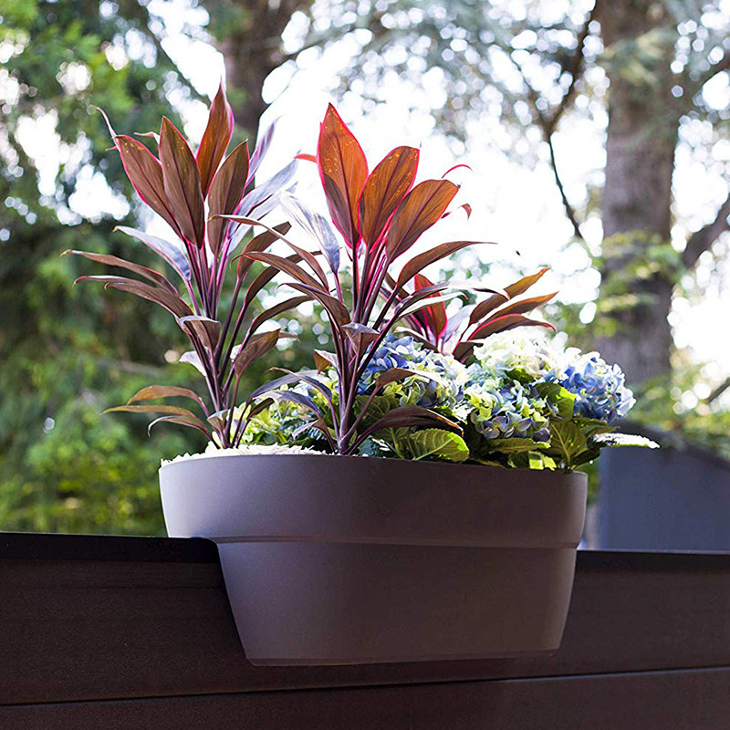 13555 R.RU JARDINIERE CAVALIERE CANCUN 55CM ROBIJN 55X29X20.6CM 13555 R.RU JARDINIERE CAVALIERE CANCUN 55CM ROBIJN 55X29X20.6CM