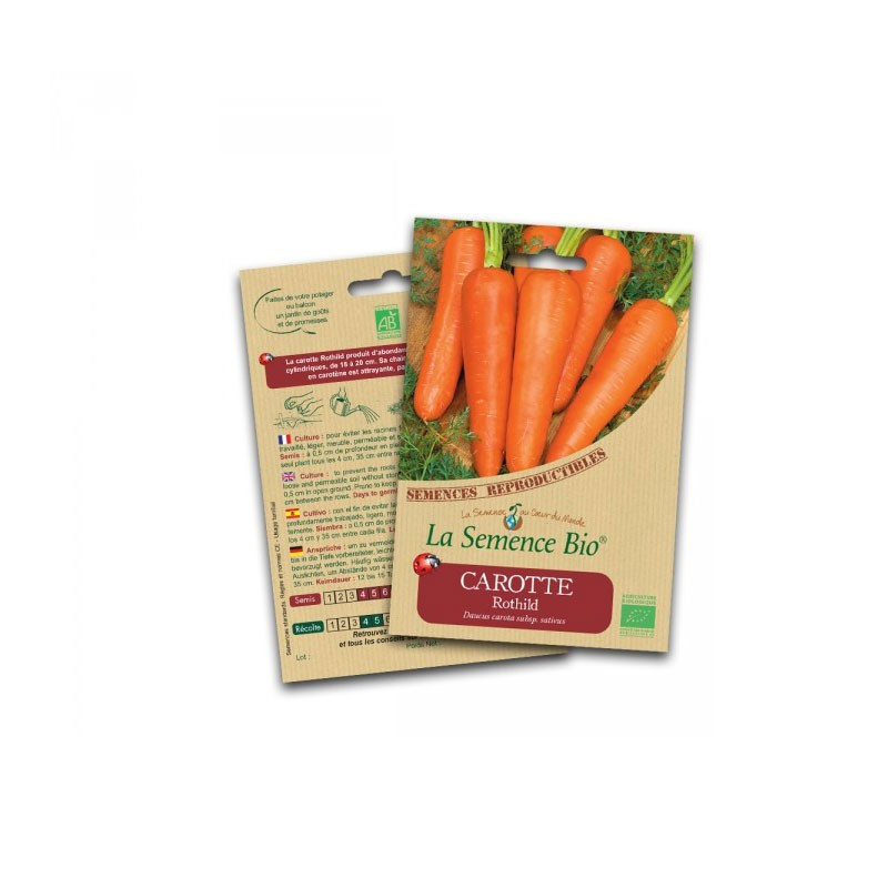 Organic seeds Carrot rothild - La Semence Bio