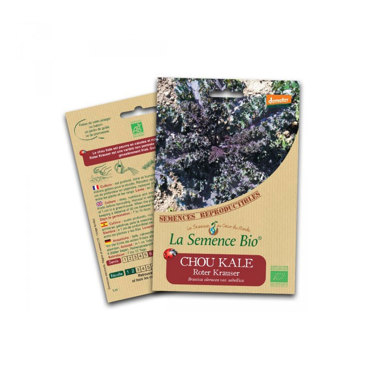 Organic seeds Kale roter krauser - La Semence Bio