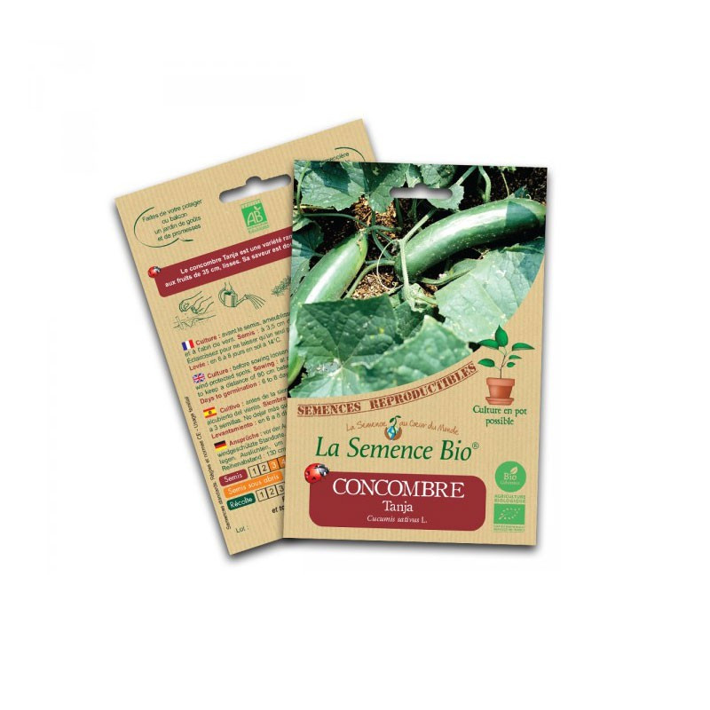 Organic seeds Cucumber tanja - La Semence Bio
