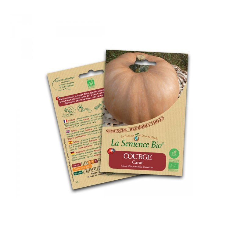 Organic seeds squash carat - La Semence Bio