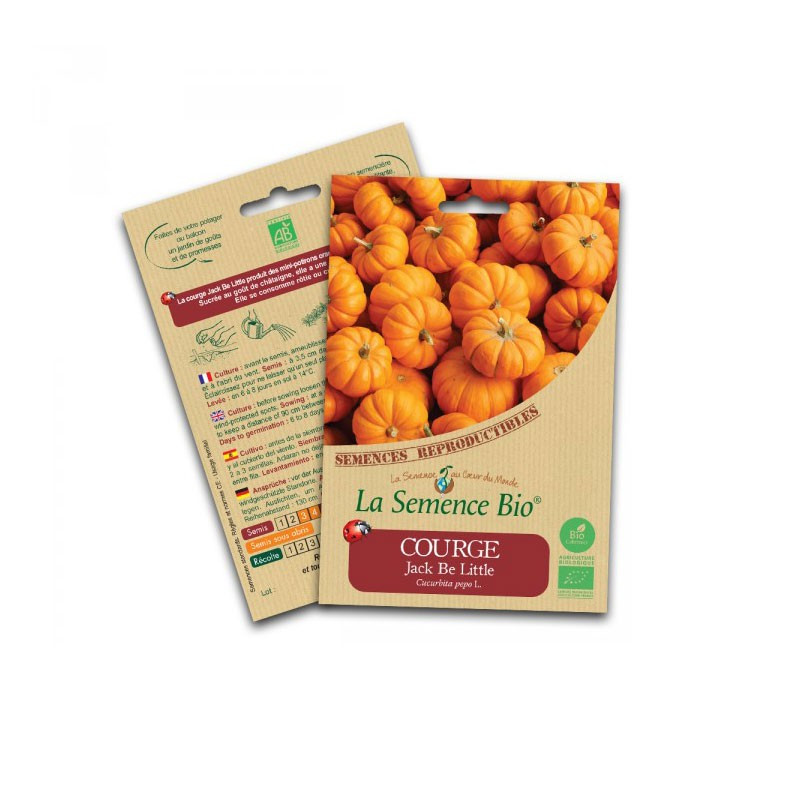 Organic pumpkin seeds jack be little - La Semence Bio