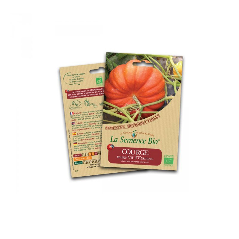 Organic seeds Red squash - La Semence Bio