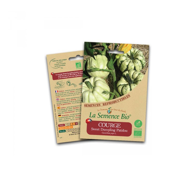 Organic seeds sweet dumpling patidou - La Semence Bio