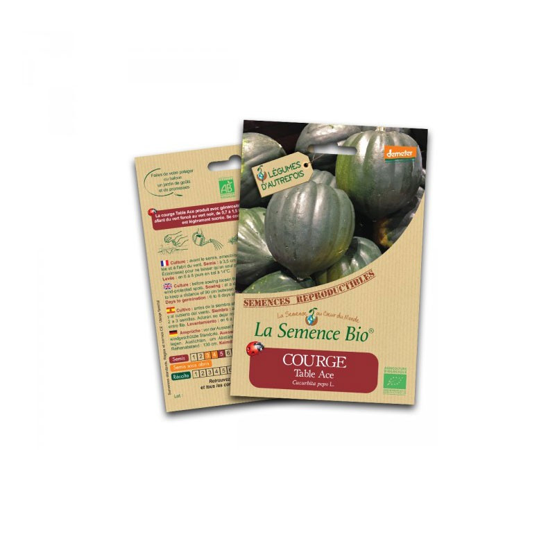 Organic seeds Table squash ace - La Semence Bio