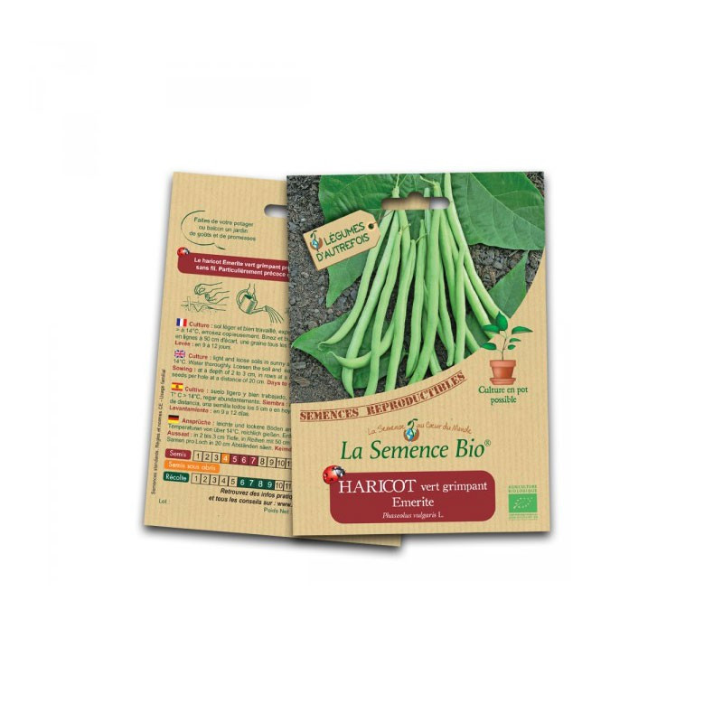 Bio Samen grüne Kletterbohne emerite - La Semence Bio