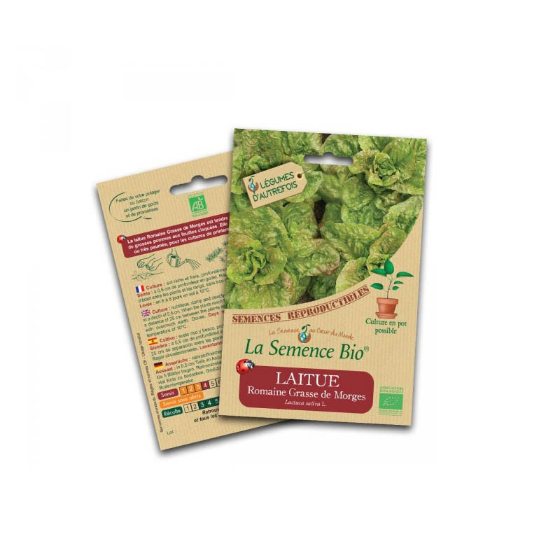 Organic seeds Romaine lettuce - La Semence Bio
