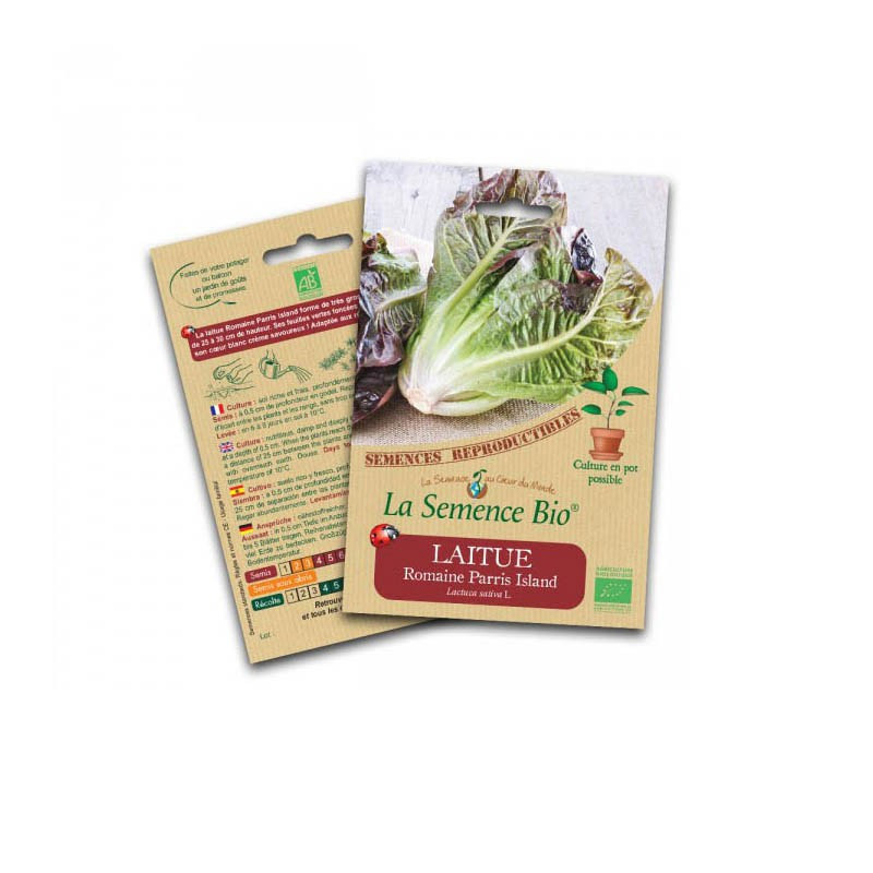Organic seeds Romaine lettuce parris island - La Semence Bio
