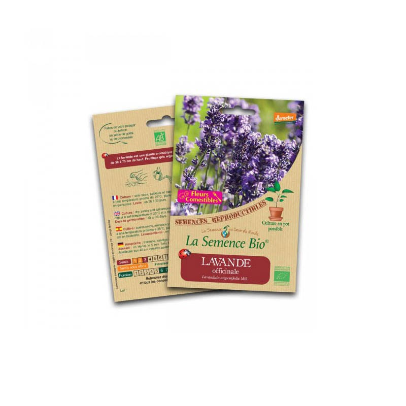 Organic seeds Lavender officinale - La Semence Bio