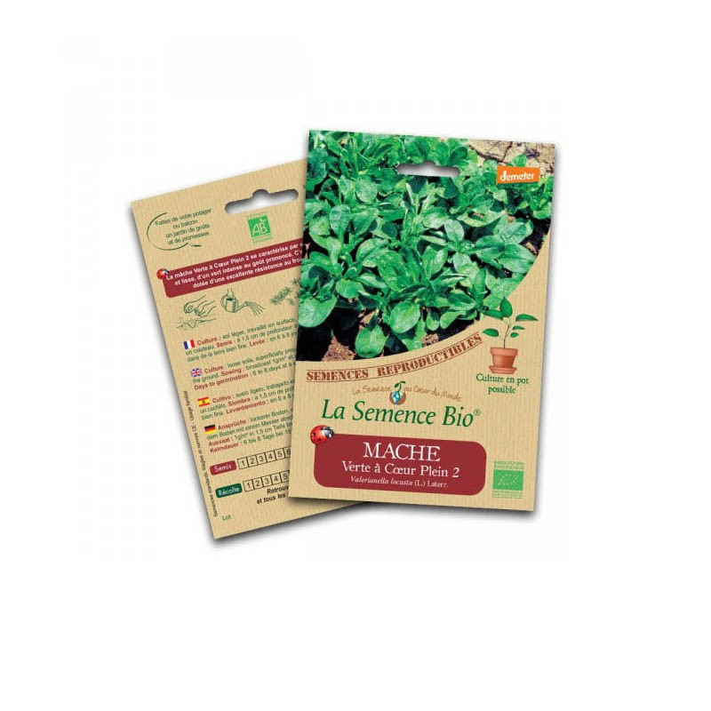 Organic Seeds Green Lamb's lettuce with full heart - La Semence Bio