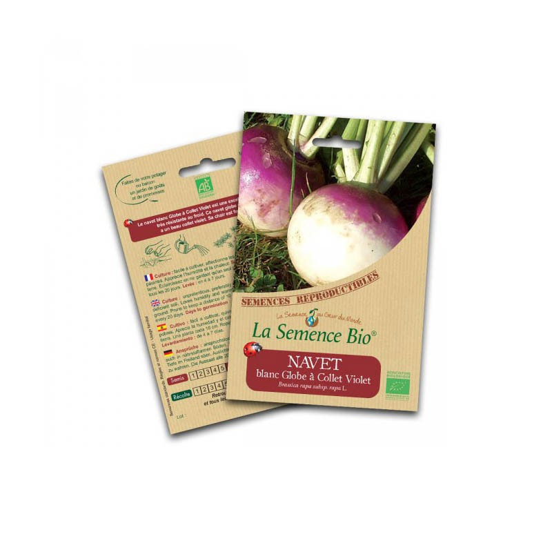 Organic seeds White globe turnip with purple collar - La Semence Bio