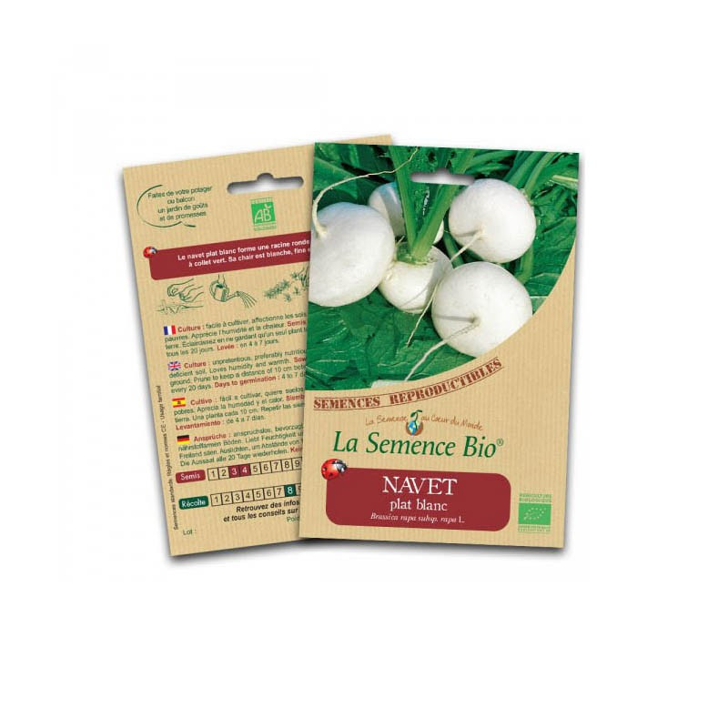 Organic seeds White flat turnip - La Semence Bio