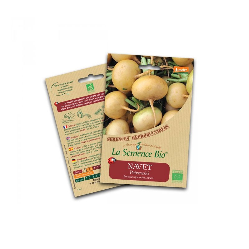 Organic Turnip petrowski seeds - La Semence Bio