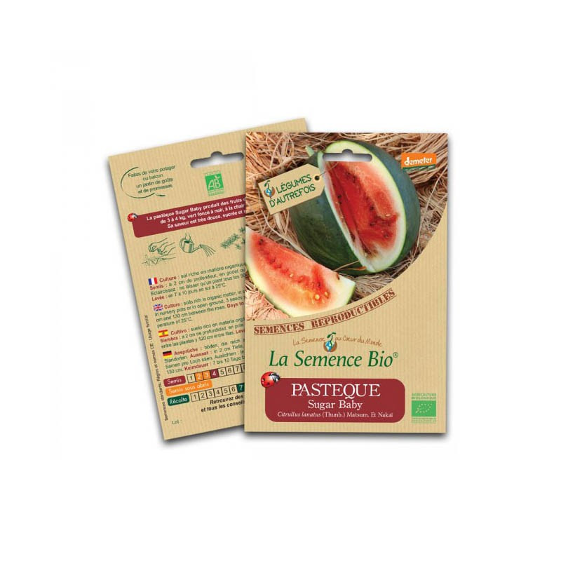 Organic seeds Watermelon sugar baby - La Semence Bio