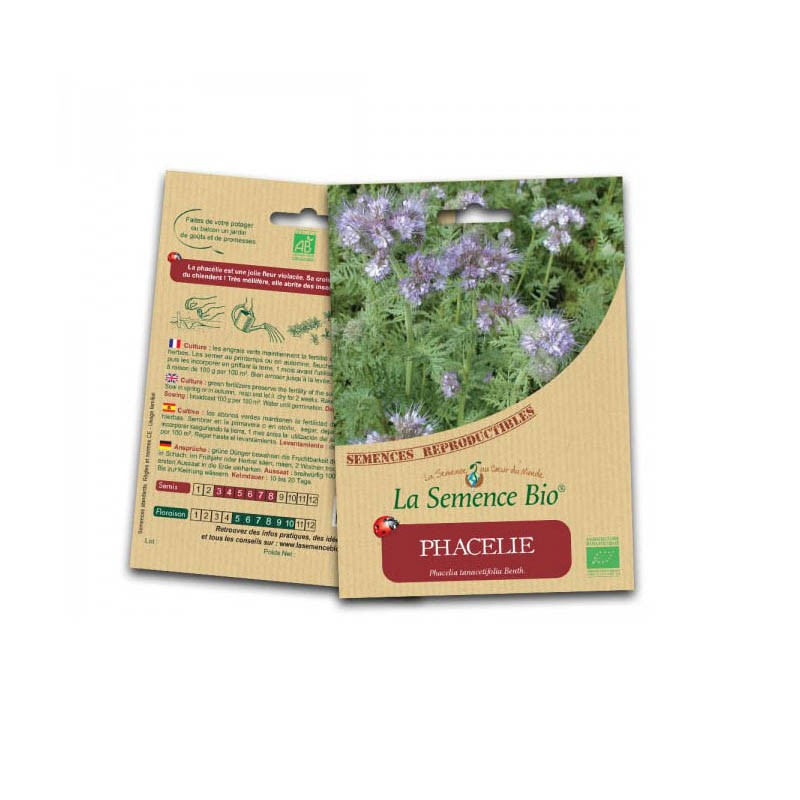 Phacelia organic seeds - La Semence Bio