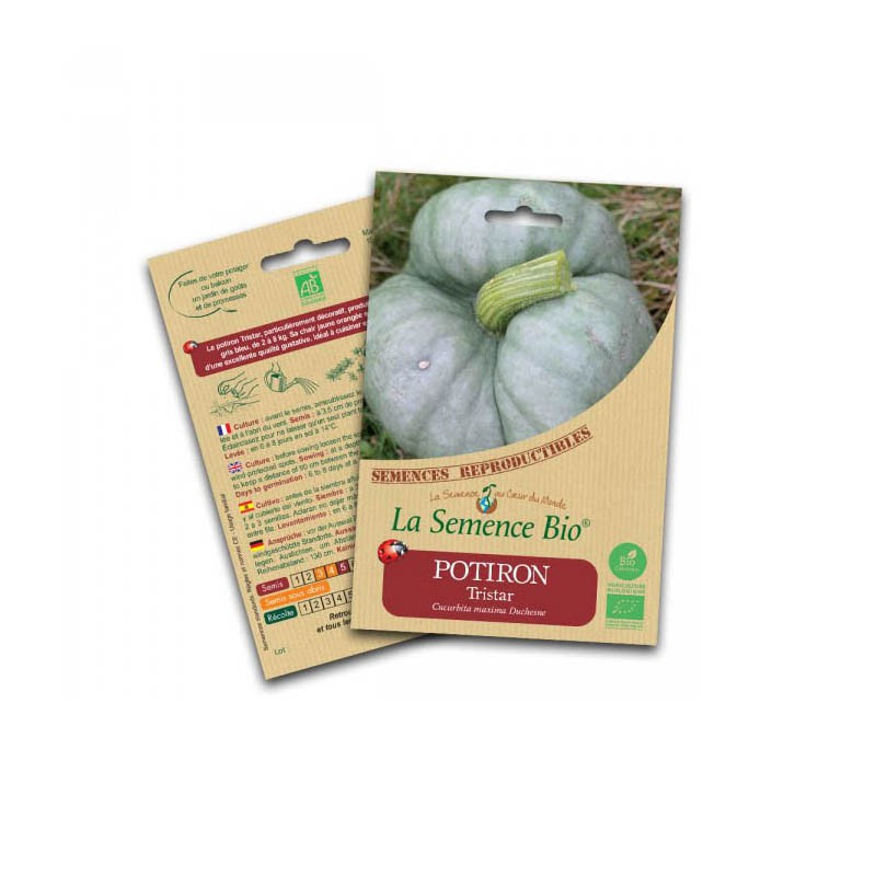 Organic seeds Pumpkin tristar - La Semence Bio
