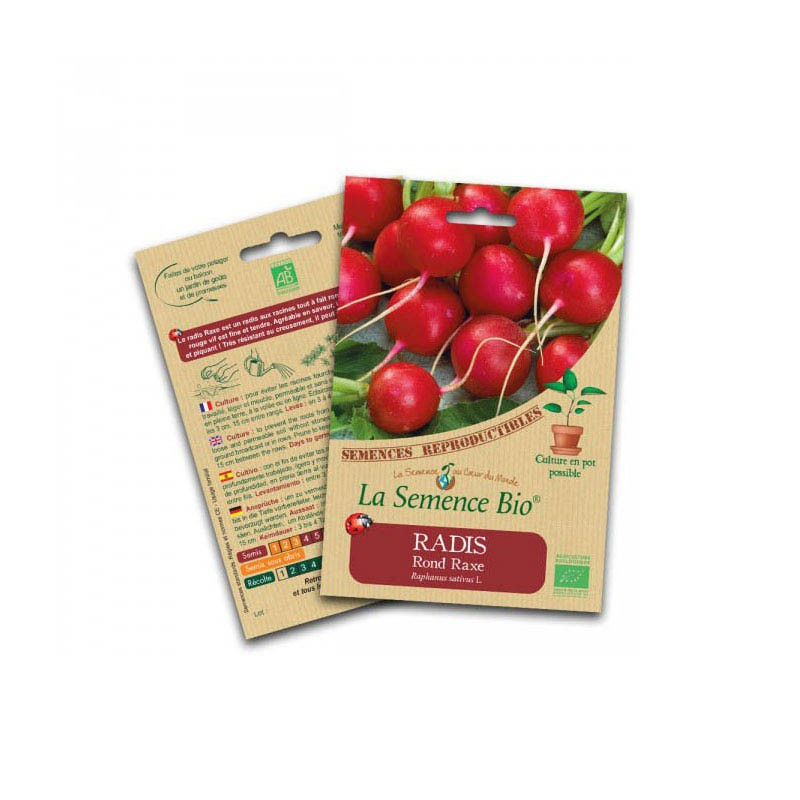 Organic seeds Radish - La Semence Bio