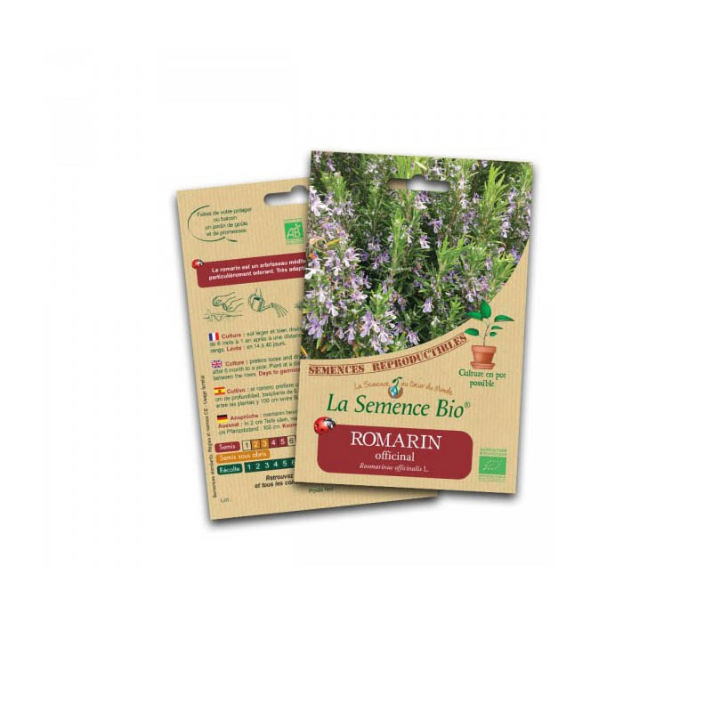 Organic Rosemary seeds - La Semence Bio