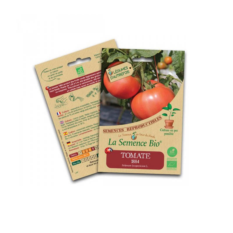 Semillas de tomate ecológico 1884 - La Semence Bio