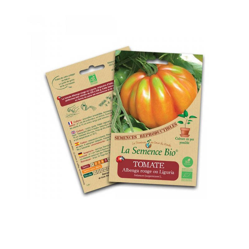 Graines bio Tomate albenga rouge ou liguria - La Semence Bio