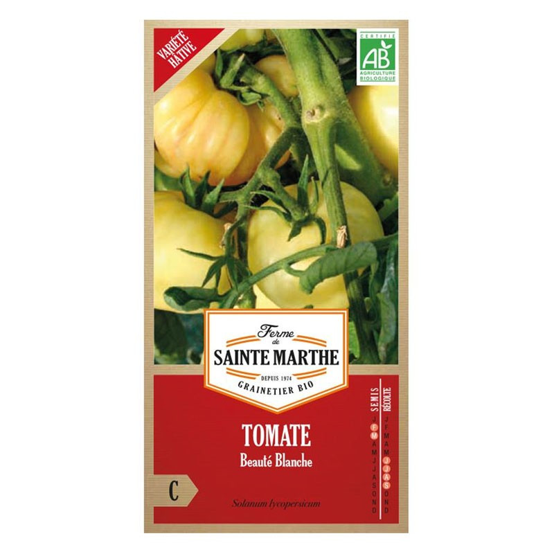 Bio Samen Tomate Schönheit weiß - La ferme Sainte Marthe