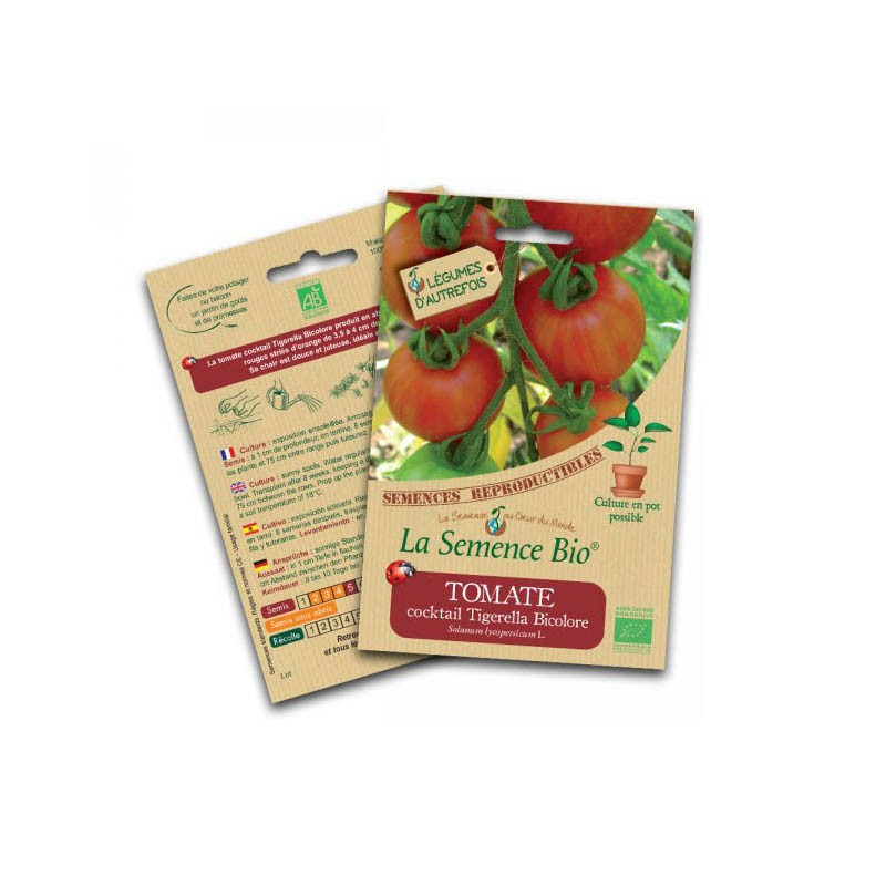 Semillas ecológicas de tomate Tigerella cocktail - La Semence Bio