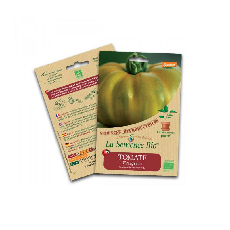 Organic seeds Tomato evergreen - La Semence Bio