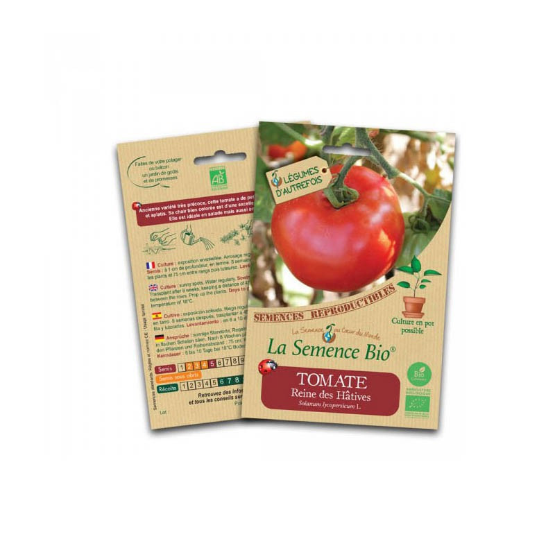 Semillas ecológicas Tomate reine des hatives - La Semence Bio